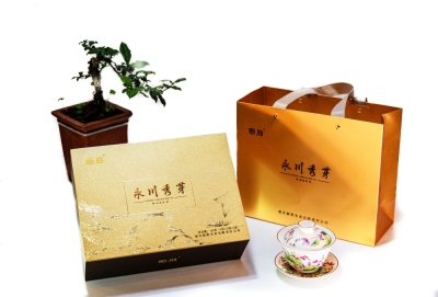 永川秀芽·正心